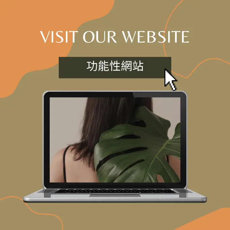 電商平台、直播/串流/影音平台、比價網、公文系統